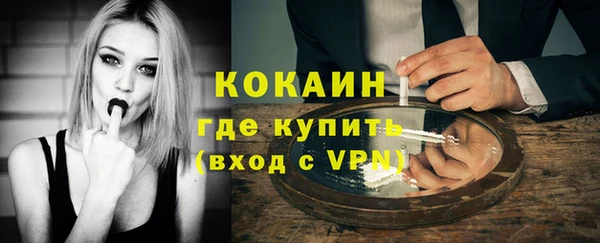 мяу мяу мука Аркадак