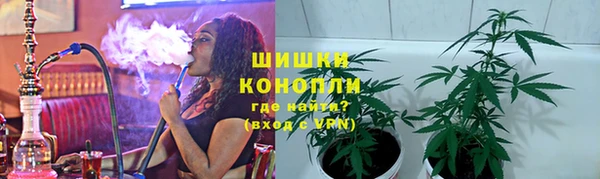 стаф Арсеньев