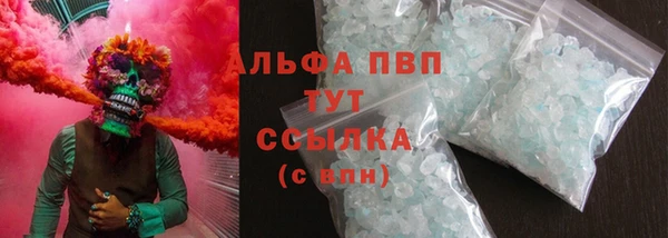 стаф Арсеньев