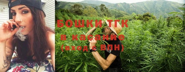 стаф Арсеньев