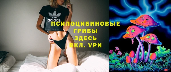 мяу мяу мука Аркадак