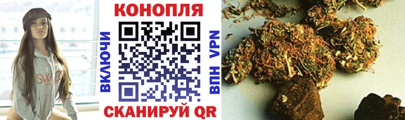 Шишки марихуана конопля omg ссылка Дзержинск